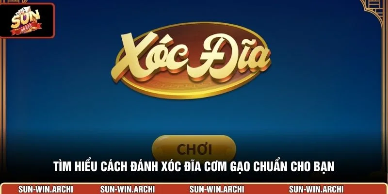Tìm hiểu cách đánh xóc đĩa cơm gạo chuẩn cho bạn